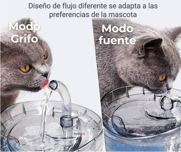 bebedero de agua para mascotas