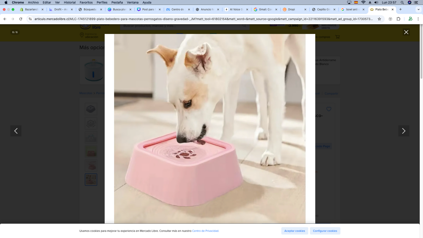 Bowl antisplash para tus mascotas