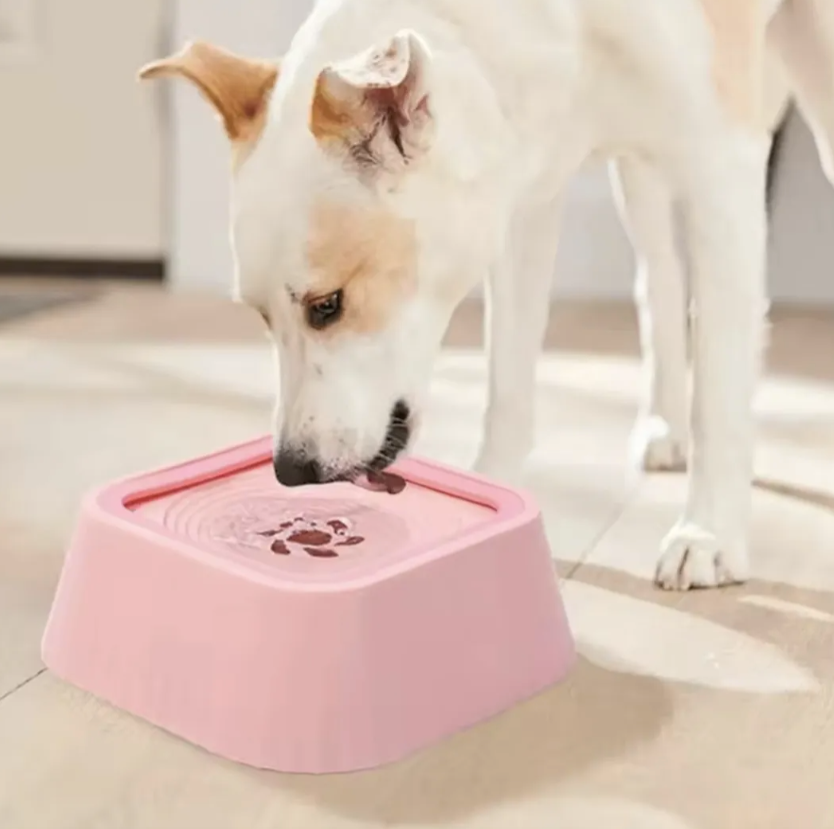 Bowl antisplash para tus mascotas