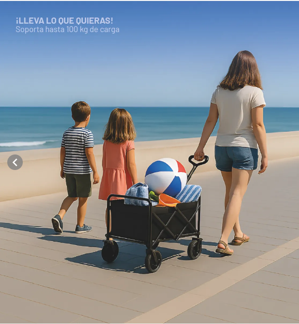 Carro Camping Plegable Negro con 4 Rueda