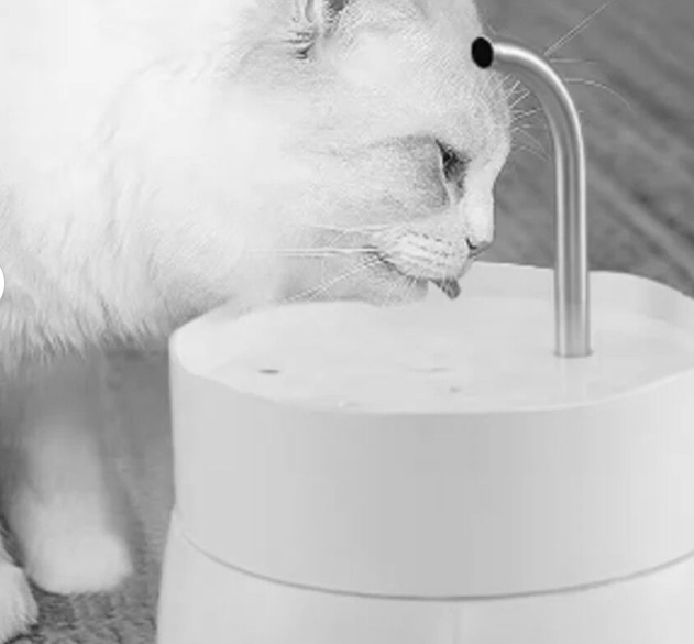 Fuente De Agua Para Mascotas Dispensador