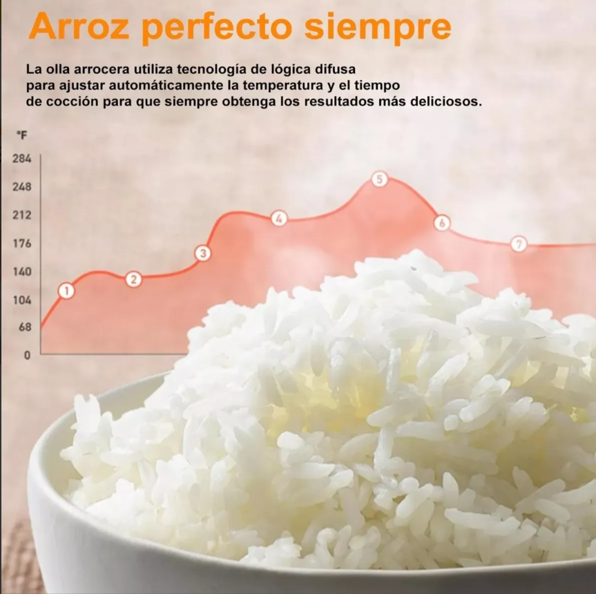 Olla De Presión Eléctrica 10 Modos 6L